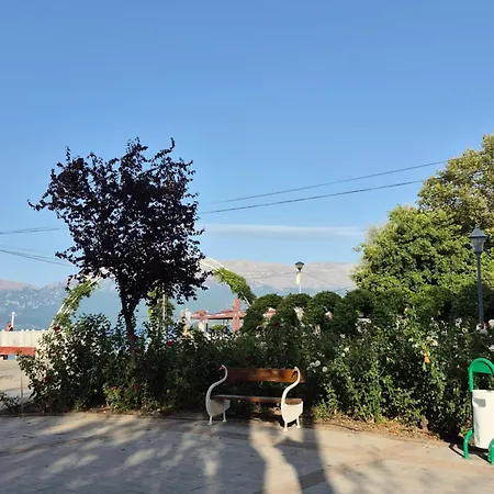 50m To Pogradec